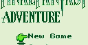 Final Fantasy Adventure Gameboy Screenshot