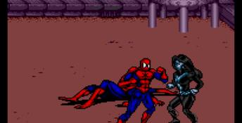 Spider-Man and Venom: Maximum Carnage
