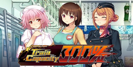 Train Capacity 300