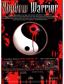 Shadow Warrior Poster