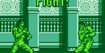 Raging Fighter Gameboy Screenshot