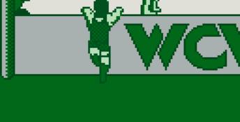 WCW World Championship Wrestling: The Main Event Gameboy Screenshot