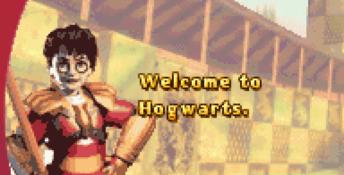 Harry Potter: Quidditch World Cup GBA Screenshot