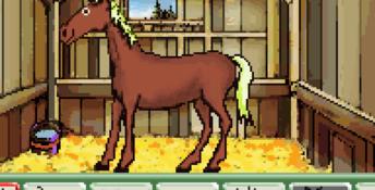 Let's Ride Sunshine Stables GBA Screenshot