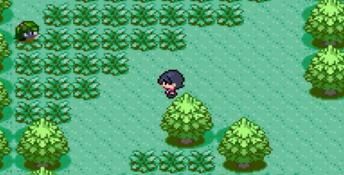 Pokemon Snakewood GBA Screenshot