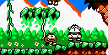 Game Boy Gallery 4 GBC Screenshot