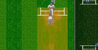 Brian Lara Cricket Genesis Screenshot