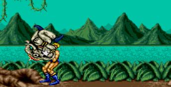 Fighting Masters Genesis Screenshot