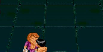 Ka-Ge-Ki: Fists of Steel Genesis Screenshot