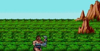 Rastan Saga 2 Genesis Screenshot
