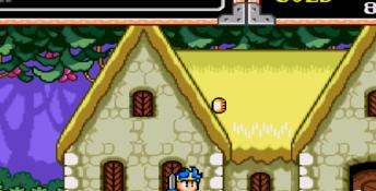 Wonderboy 5 Genesis Screenshot