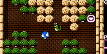 The Adventures of Lolo NES Screenshot
