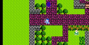 Dragon Warrior 3 NES Screenshot