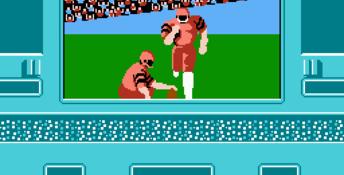 NES Play Action Football NES Screenshot