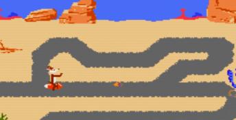 Road Runner NES Screenshot