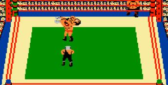 Tag Team Wrestling NES Screenshot
