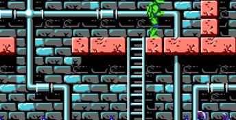 Teenage Mutant Ninja Turtles NES Screenshot