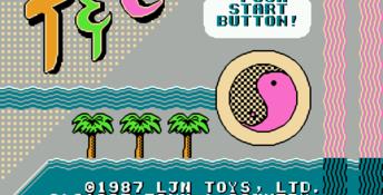 Town & Country Surf Designs NES Screenshot