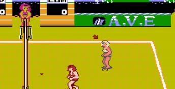 Venice Beach Volleyball NES Screenshot