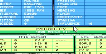 Championship Manager 93 PC Screenshot