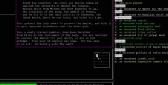 Nethack PC Screenshot