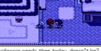 Pokémon Sage PC Screenshot