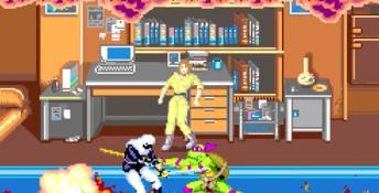 Teenage Mutant Ninja Turtles: The Cowabunga Collection PC Screenshot