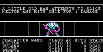 Wizardry 2: The Knight Of Diamonds PC Screenshot