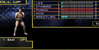 UFC Throwdown Playstation 2 Screenshot