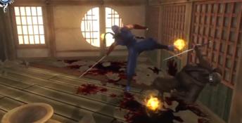 Ninja Gaiden Sigma Playstation 3 Screenshot