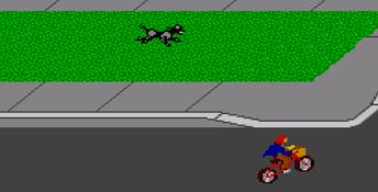 Paperboy Sega Master System Screenshot