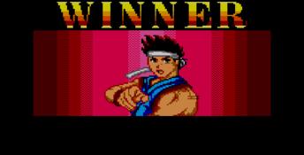 Virtua Fighter Animation Sega Master System Screenshot