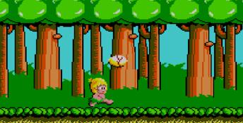 Wonder Boy Sega Master System Screenshot
