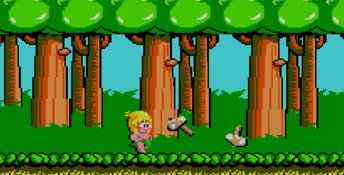 Wonder Boy Sega Master System Screenshot