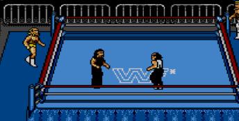 WWF Wrestlemania Steel Cage Challenge Sega Master System Screenshot