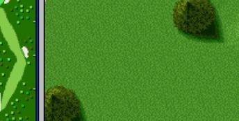 Hal's Hole in One Golf SNES Screenshot