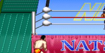 Natsume Championship Wrestling SNES Screenshot