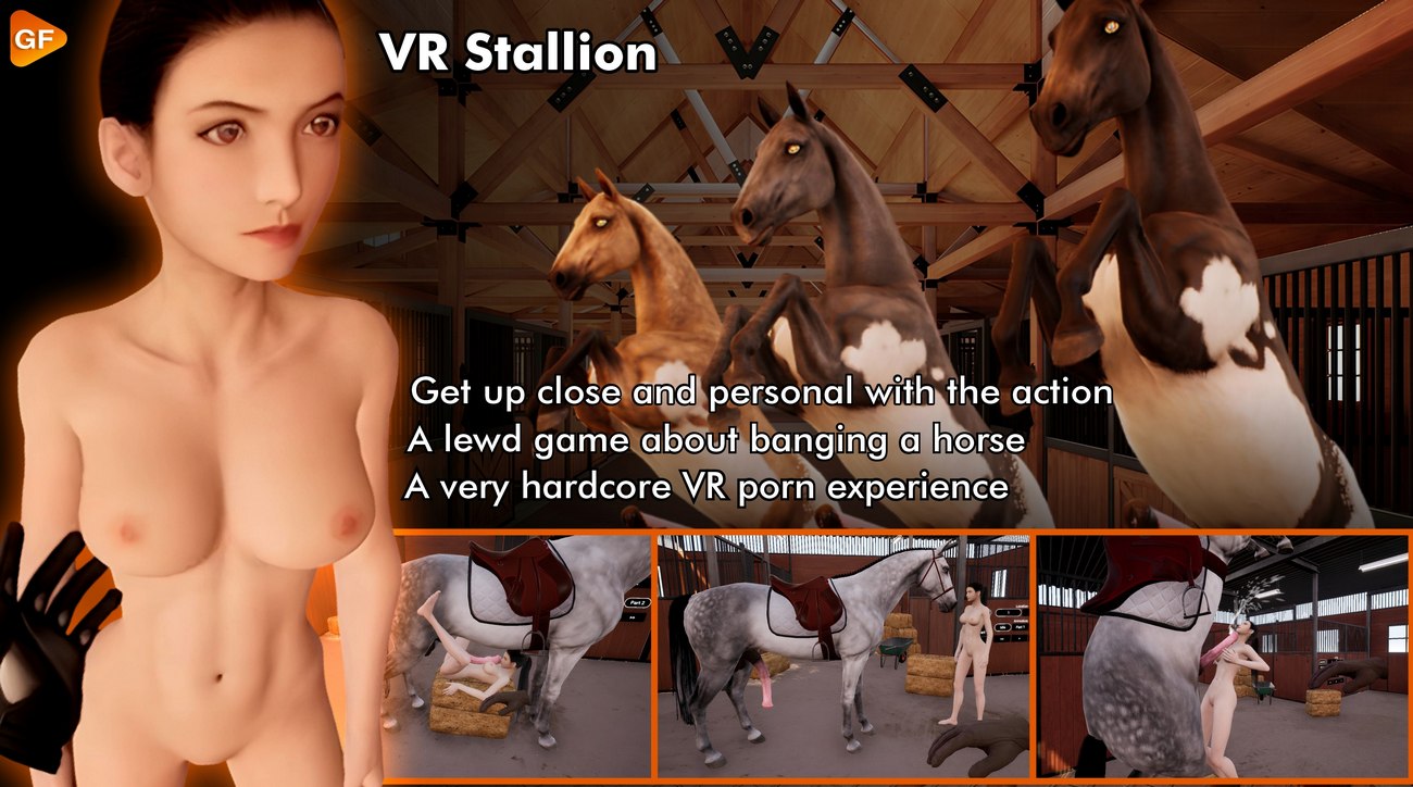 VR Stallion