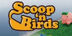 Scoop'n Birds