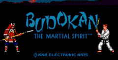 Budokan: The Martial Spirit