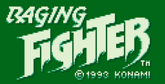 Raging Fighter