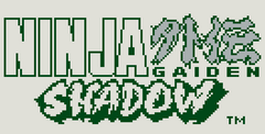 Shadow Warriors: Ninja Gaiden