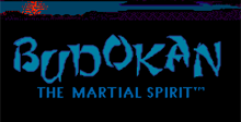 Budokan: The Martial Spirit