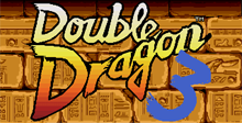 Double Dragon 3: The Rosetta Stone