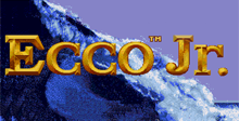 ECCO Jr.