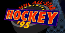 NHL All-Star Hockey 95