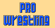 Pro Wrestling