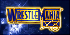 WWF Wrestlemania X8