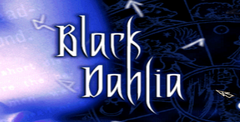 Black Dahlia