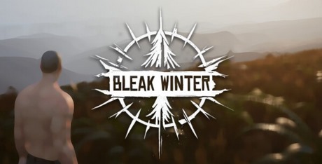 Bleak Winter